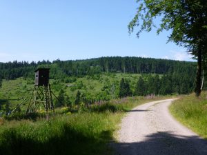 Wanderwege auf dem Rennsteig